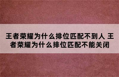 王者荣耀为什么排位匹配不到人 王者荣耀为什么排位匹配不能关闭